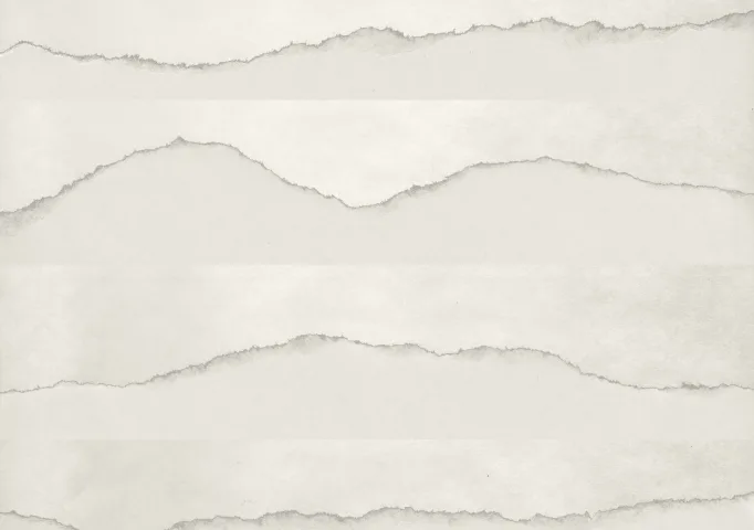 Scanned torn paper edges, the raw texture the print stripes were built from