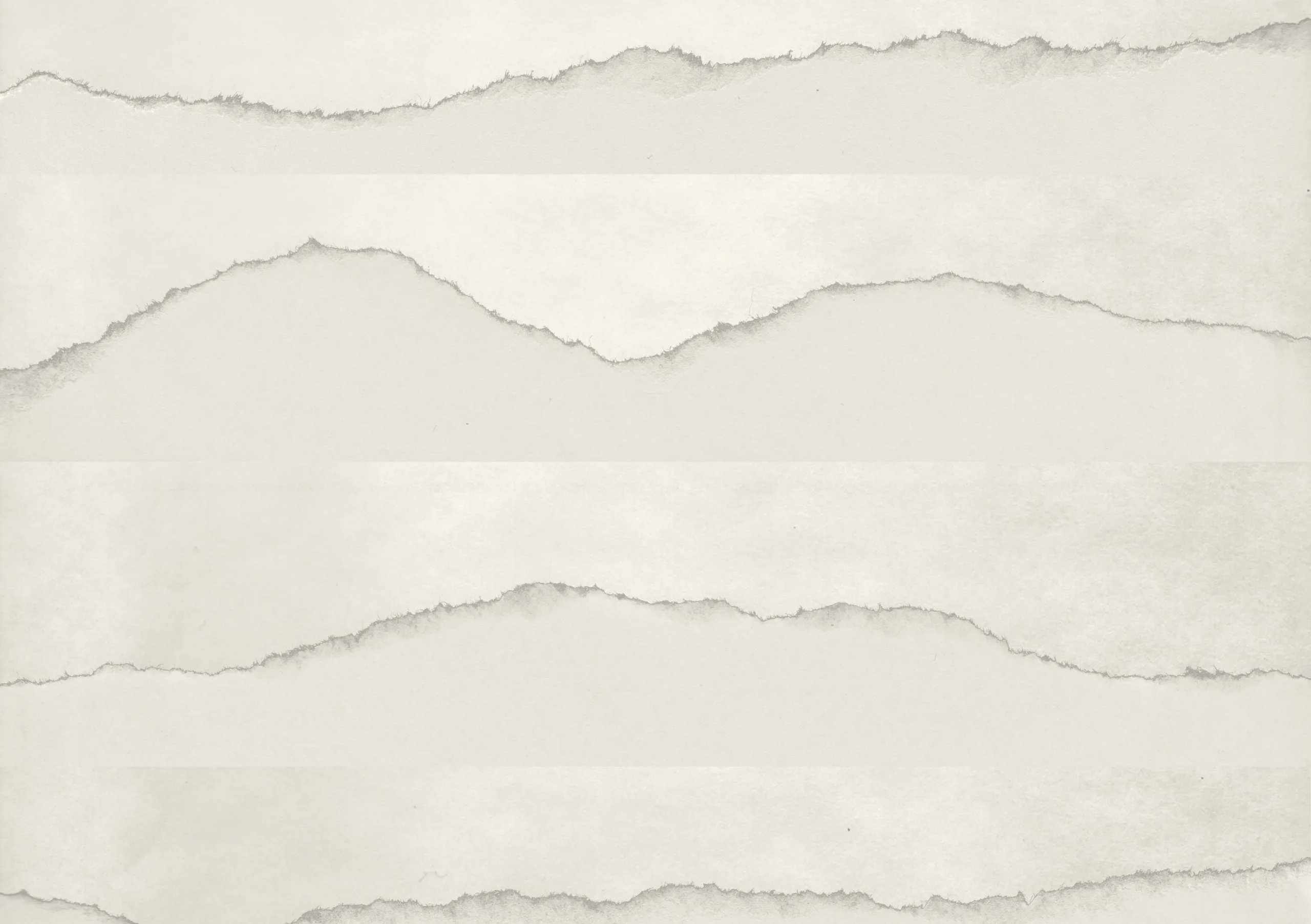 Scanned torn paper edges, the raw texture the print stripes were built from