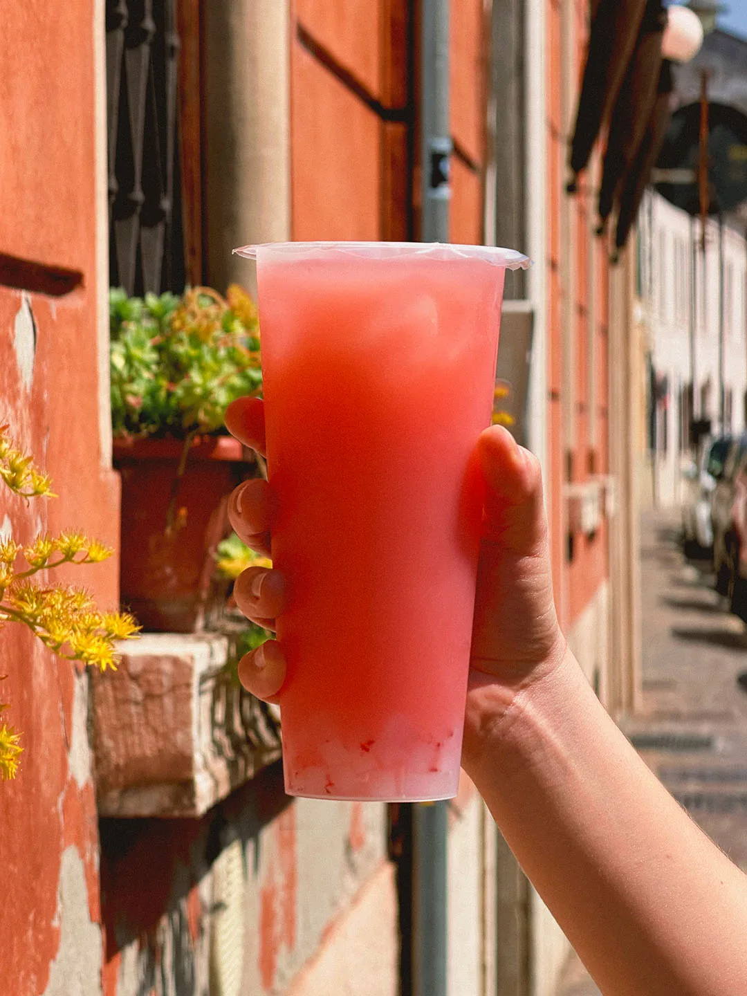 Strawberry Yakult drink held up along a terracotta street, beside a window box of succulents