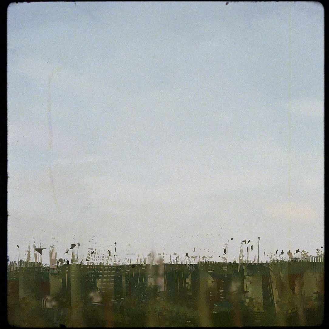 Grass16mm