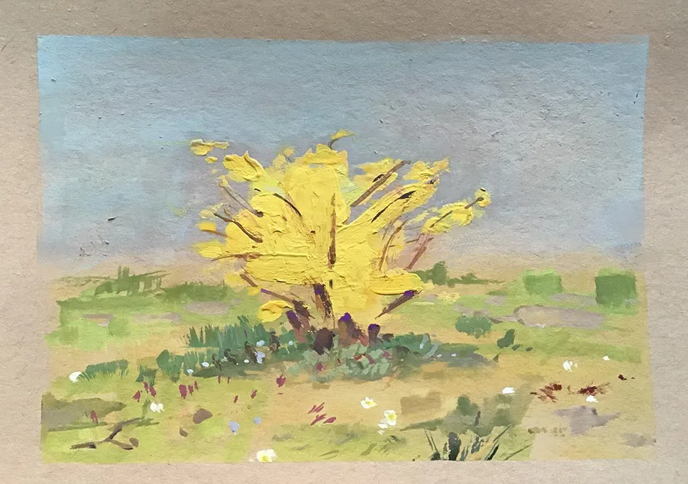 Yellowbush